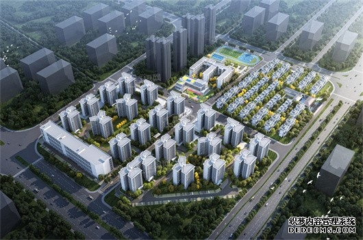 江南区福建园街道:提升商圈“颜值” 优化出行体验